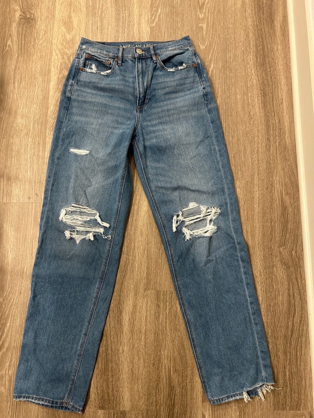 American Eagle Outfitters - Distressed Baggy Jeans